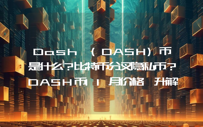 Dash (DASH)币是什么？比特币分叉隐私币？DASH币11月价格飆升解析