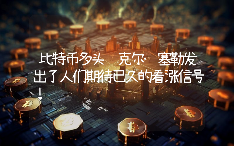 比特币多头迈克尔·塞勒发出了人们期待已久的看涨信号！