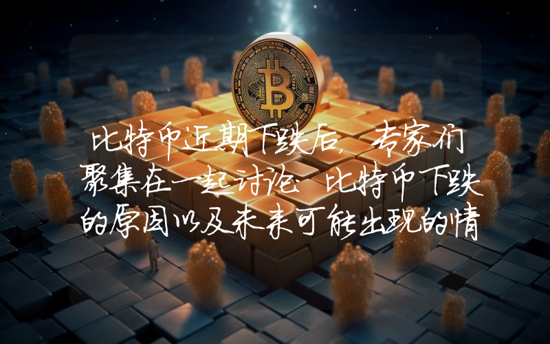 比特币近期下跌后，专家们聚集在一起讨论：比特币下跌的原因以及未来可能出现的情况？