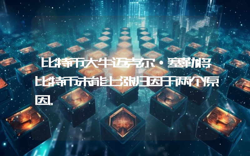 比特币大牛迈克尔·塞勒将比特币未能上涨归因于两个原因。