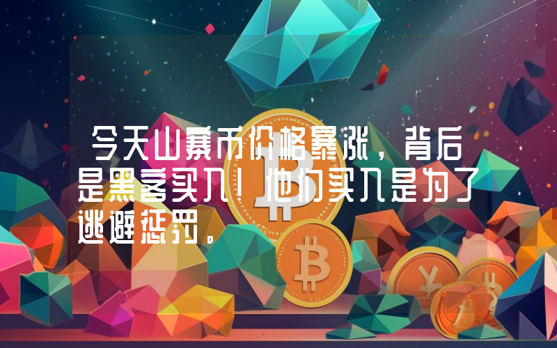 今天山寨币价格暴涨，背后是黑客买入！他们买入是为了逃避惩罚。