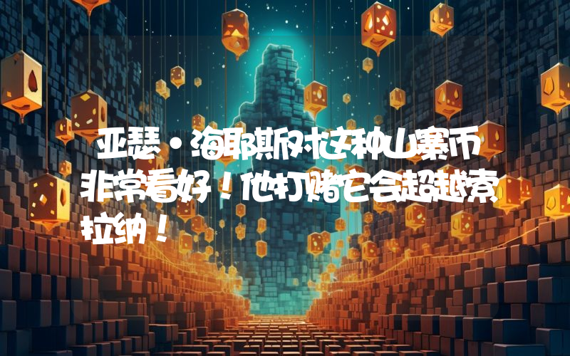 亚瑟·海耶斯对这种山寨币非常看好！他打赌它会超越索拉纳！