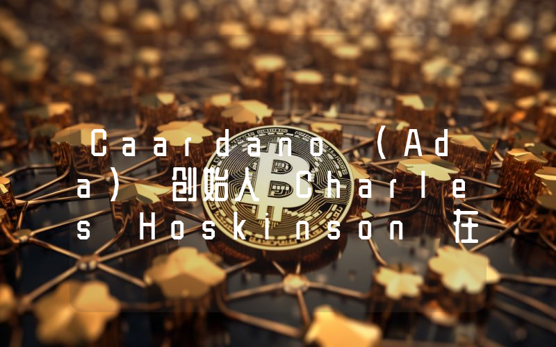 Caardano (Ada) 创始人 Charles Hoskinson 在大跌期间发表了劲爆言论！
