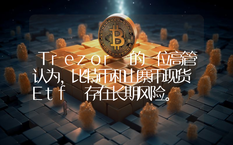 Trezor 的一位高管认为，比特币和山寨币现货 Etf 存在长期风险。