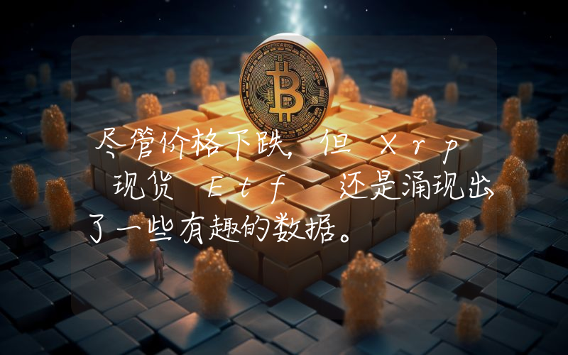 尽管价格下跌，但 Xrp 现货 Etf 还是涌现出了一些有趣的数据。