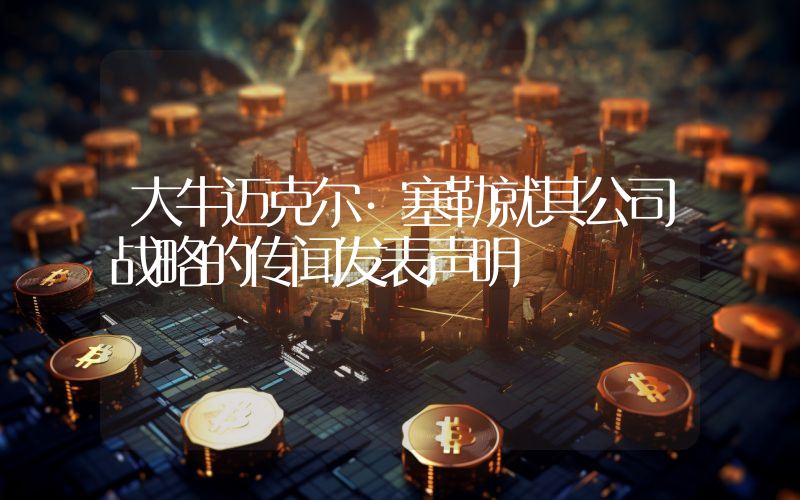 大牛迈克尔·塞勒就其公司战略的传闻发表声明