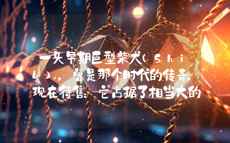 一头早期巨型柴犬（Shib），曾是那个时代的传奇，现在待售：它占据了相当大的市场份额。