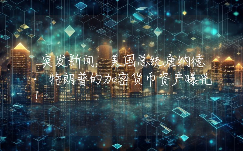 突发新闻：美国总统唐纳德·特朗普的加密货币资产曝光！