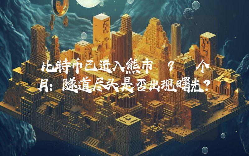 比特币已进入熊市 9 个月：隧道尽头是否出现曙光？