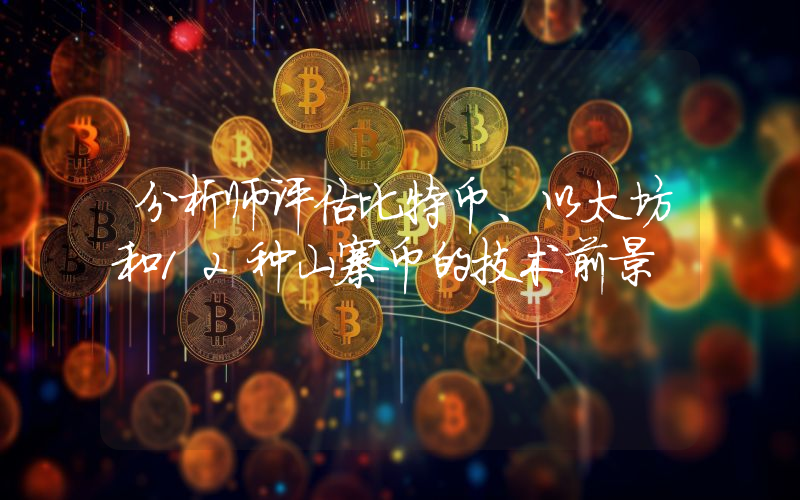分析师评估比特币、以太坊和12种山寨币的技术前景