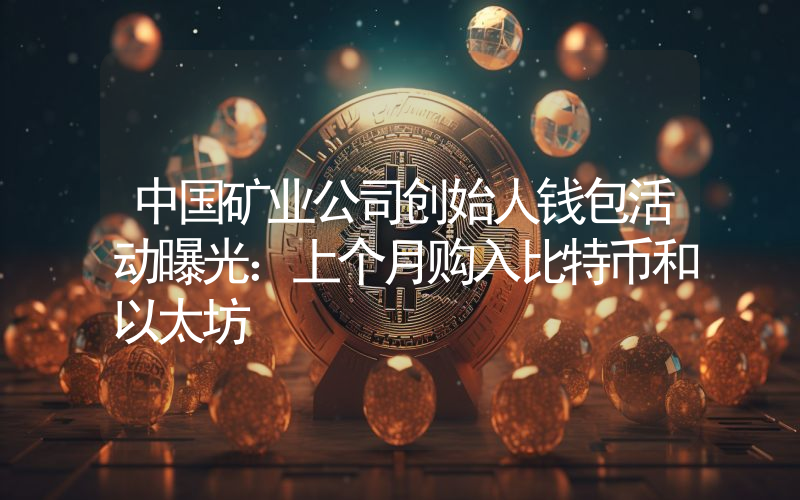 中国矿业公司创始人钱包活动曝光：上个月购入比特币和以太坊