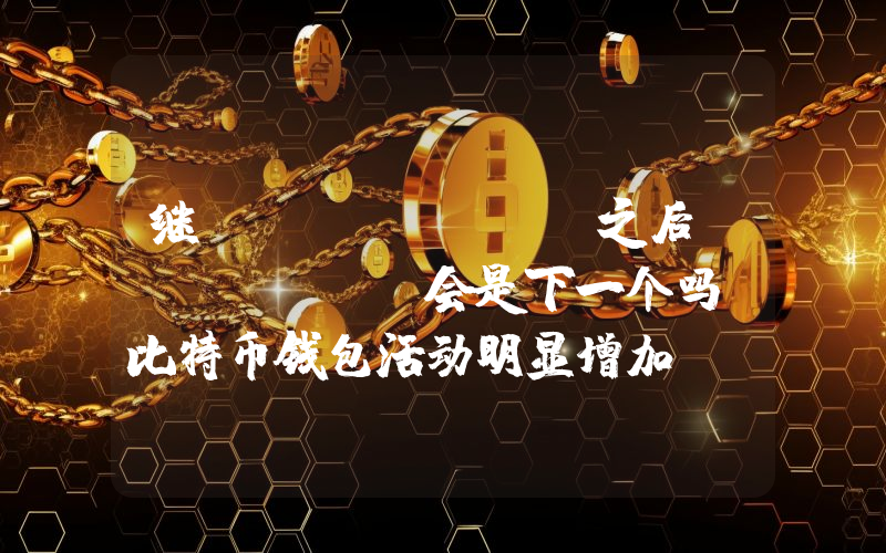 继Strategy之后，Tether会是下一个吗？比特币钱包活动明显增加。