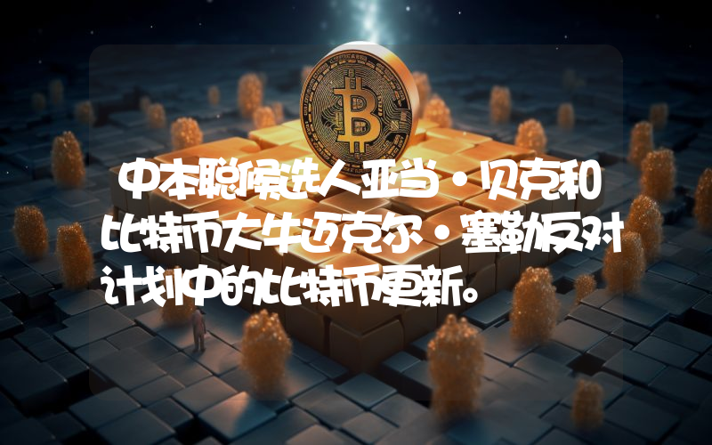 中本聪候选人亚当·贝克和比特币大牛迈克尔·塞勒反对计划中的比特币更新。