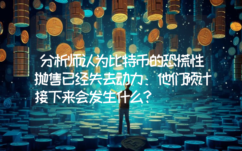 分析师认为比特币的恐慌性抛售已经失去动力：他们预计接下来会发生什么？