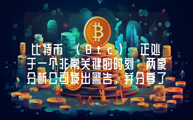 比特币 (Btc) 正处于一个非常关键的时刻：两家分析公司发出警告，并分享了两种预期的价格走势！