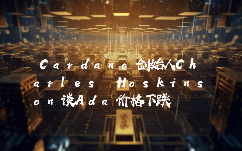 Cardano创始人Charles Hoskinson谈Ada价格下跌