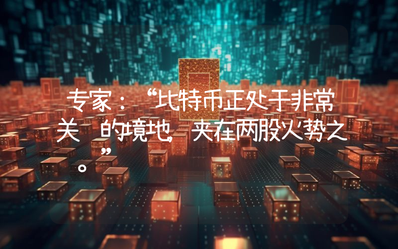 专家：“比特币正处于非常关键的境地，夹在两股火势之间。”