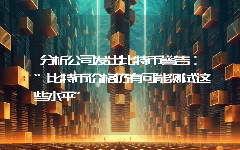 分析公司发出比特币警告：“比特币价格仍有可能测试这些水平”