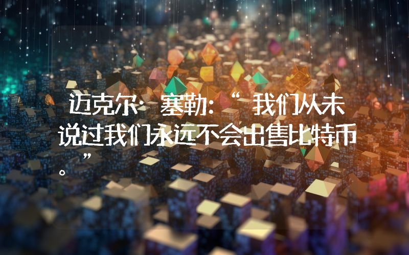 迈克尔·塞勒：“我们从未说过我们永远不会出售比特币。”