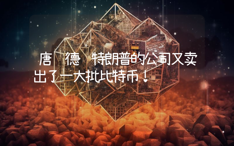 唐纳德·特朗普的公司又卖出了一大批比特币！