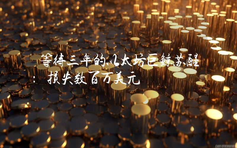 等待三年的以太坊巨鲸苏醒：损失数百万美元