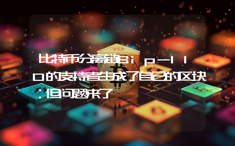 比特币分离链Bip-110的支持者生成了自己的区块：但问题来了