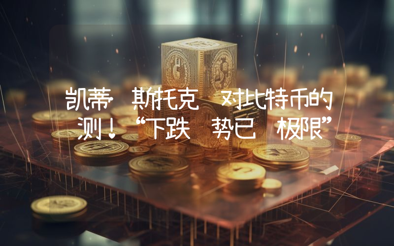 凯蒂·斯托克顿对比特币的预测！“下跌趋势已达极限”