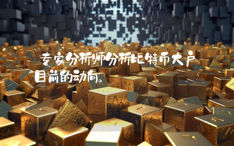 专家分析师分析比特币大户目前的动向。