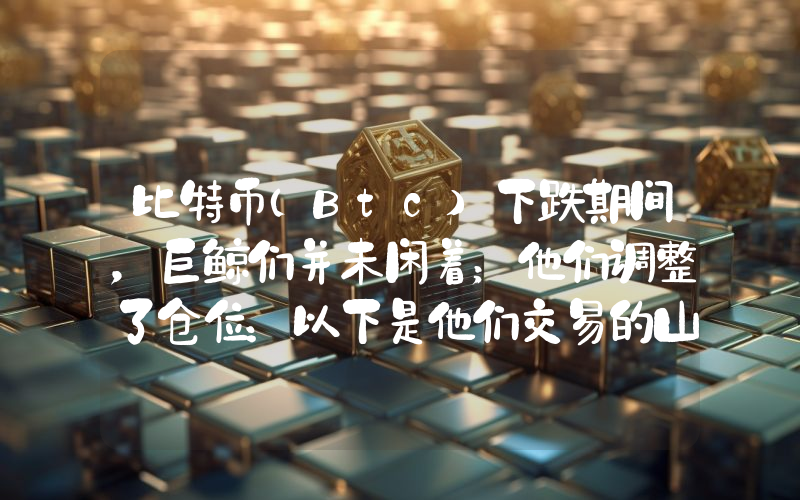 比特币（Btc）下跌期间，巨鲸们并未闲着；他们调整了仓位：以下是他们交易的山寨币……