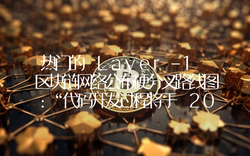 热门的 Layer-1 区块链网络公布硬分叉路线图：“代码开发过程将于 2026 年底完成！”