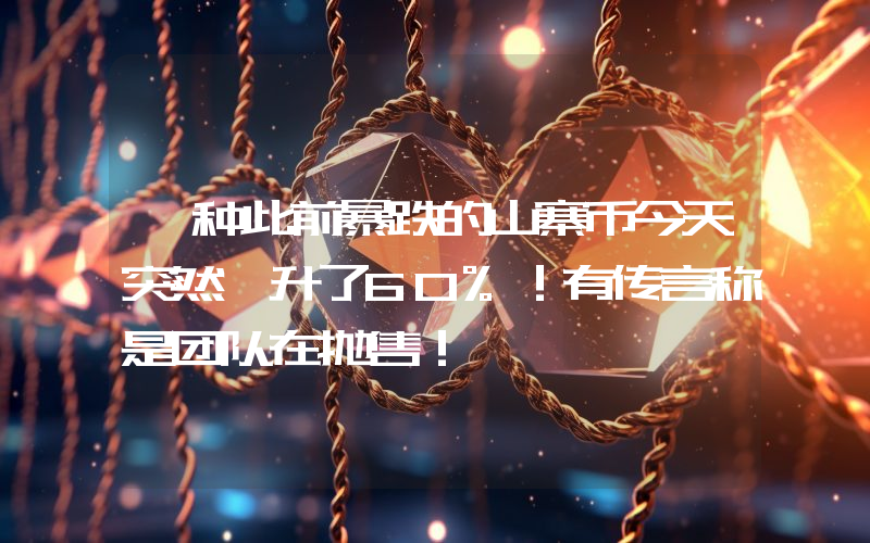 一种此前暴跌的山寨币今天突然飙升了60%！有传言称是团队在抛售！