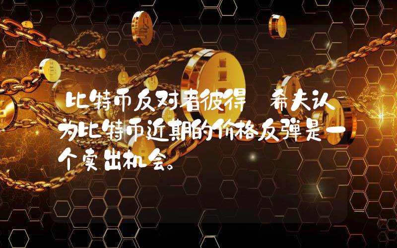 比特币反对者彼得·希夫认为比特币近期的价格反弹是一个卖出机会。