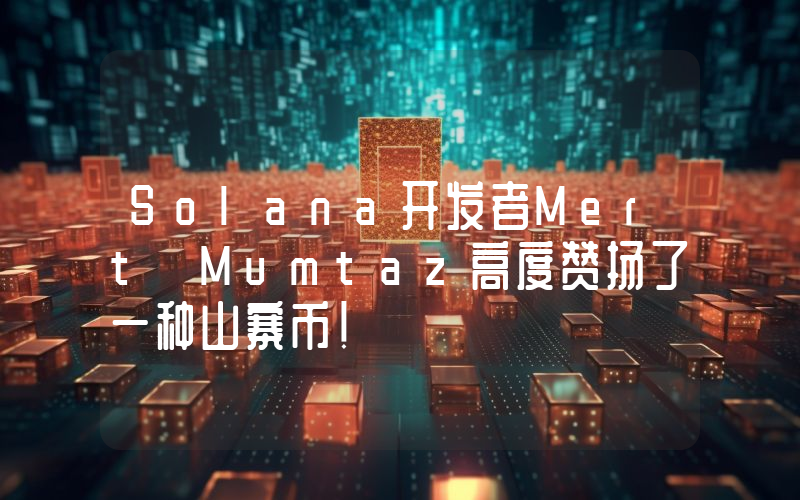 Solana开发者Mert Mumtaz高度赞扬了一种山寨币！