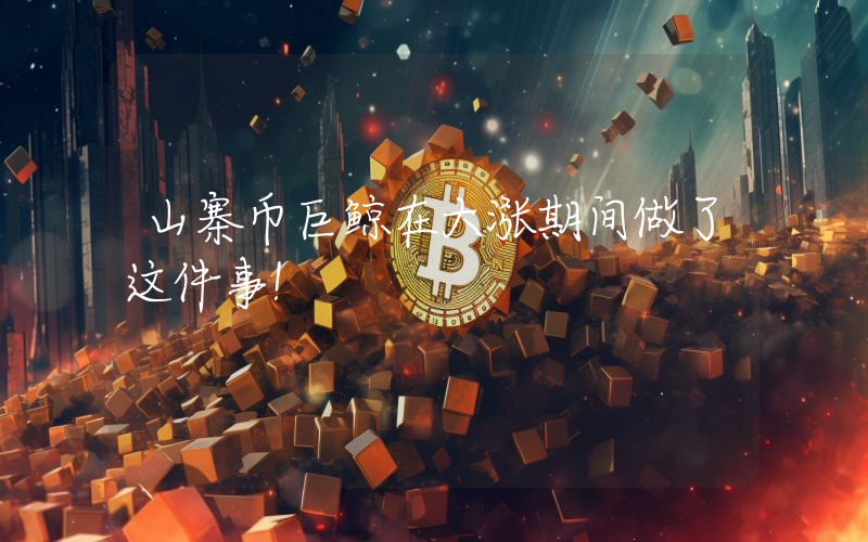山寨币巨鲸在大涨期间做了这件事！