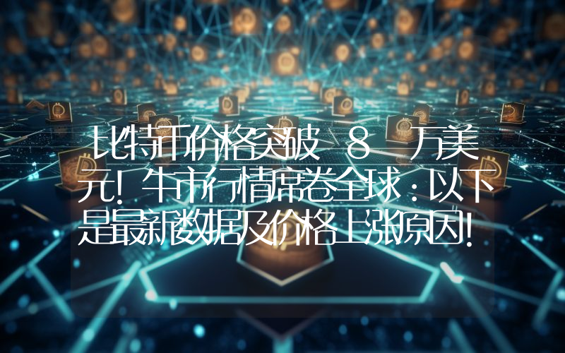 比特币价格突破 8 万美元！牛市行情席卷全球：以下是最新数据及价格上涨原因！