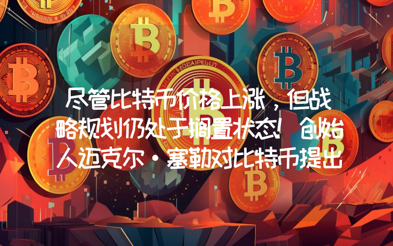 尽管比特币价格上涨，但战略规划仍处于搁置状态！创始人迈克尔·塞勒对比特币提出了大胆的预测！