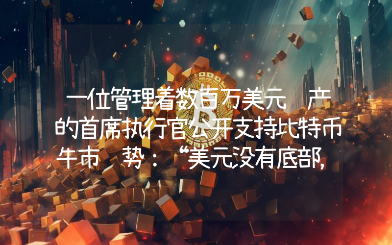 一位管理着数百万美元资产的首席执行官公开支持比特币牛市趋势：“美元没有底部，比特币没有顶部”