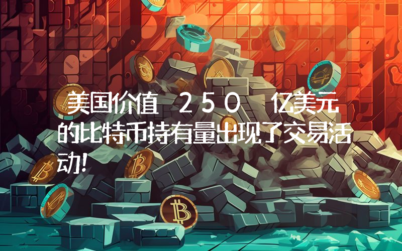 美国价值 250 亿美元的比特币持有量出现了交易活动！