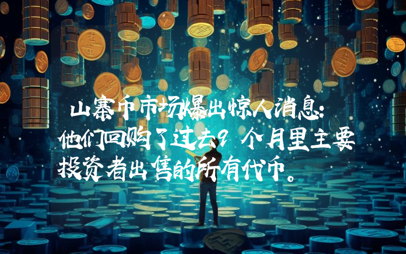 山寨币市场爆出惊人消息：他们回购了过去9个月里主要投资者出售的所有代币。