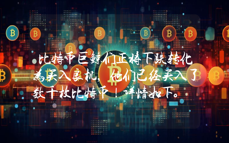 比特币巨鲸们正将下跌转化为买入良机，他们已经买入了数千枚比特币！详情如下。