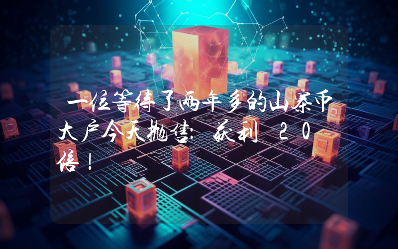 一位等待了两年多的山寨币大户今天抛售：获利 20 倍！