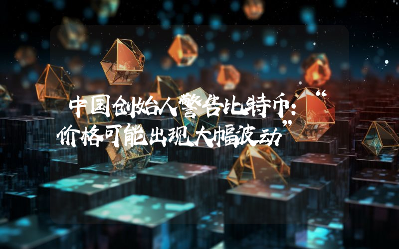 中国创始人警告比特币：“价格可能出现大幅波动”