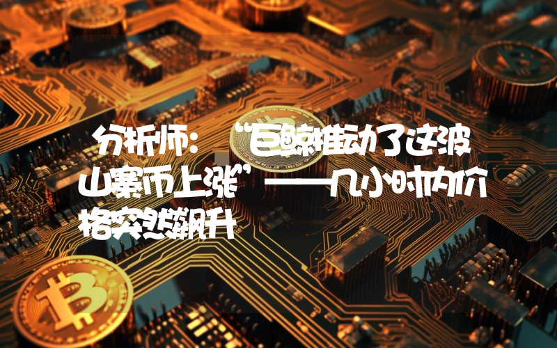 分析师：“巨鲸推动了这波山寨币上涨”——几小时内价格突然飙升