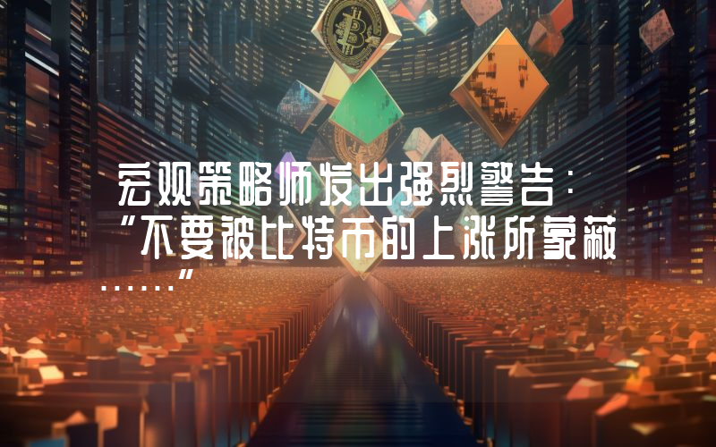宏观策略师发出强烈警告：“不要被比特币的上涨所蒙蔽……”