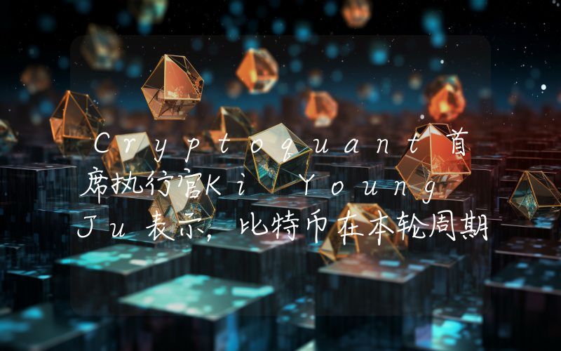 Cryptoquant首席执行官Ki Young Ju表示，比特币在本轮周期内可能上涨3-5倍！详情如下。