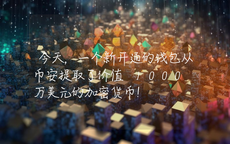 今天，一个新开通的钱包从币安提取了价值 1000 万美元的加密货币！