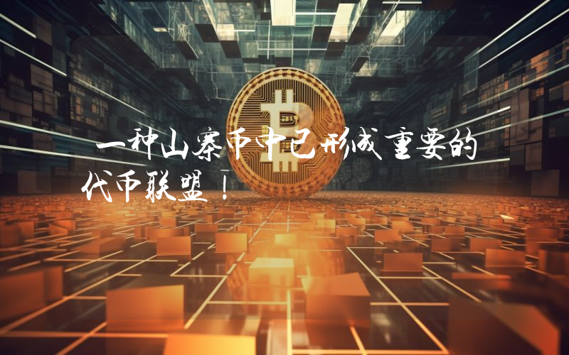 一种山寨币中已形成重要的代币联盟！