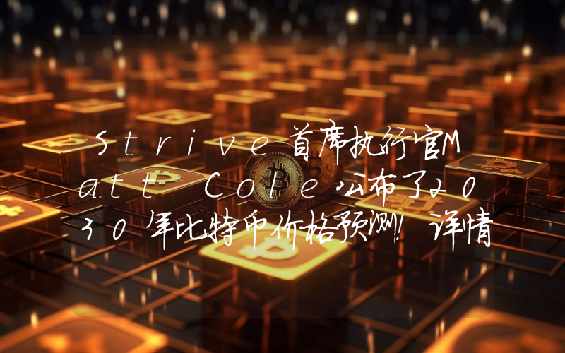 Strive首席执行官Matt Cole公布了2030年比特币价格预测！详情如下。
