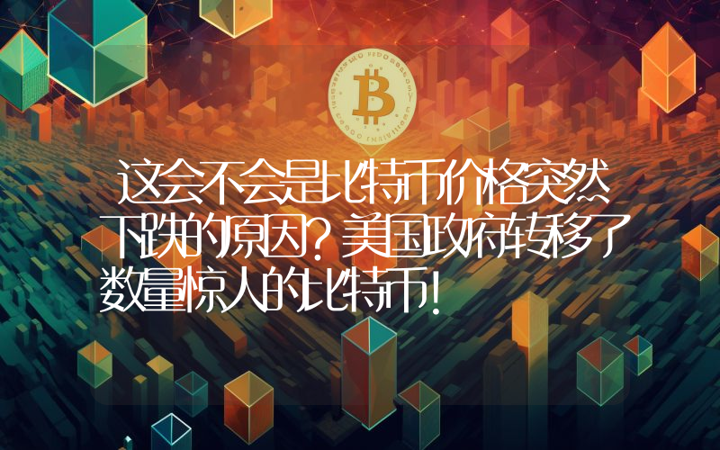 这会不会是比特币价格突然下跌的原因？美国政府转移了数量惊人的比特币！