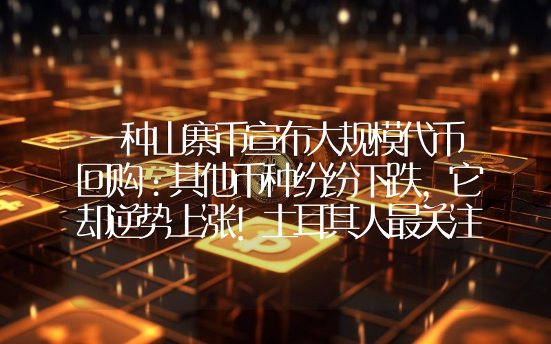 一种山寨币宣布大规模代币回购：其他币种纷纷下跌，它却逆势上涨！土耳其人最关注的币种之一